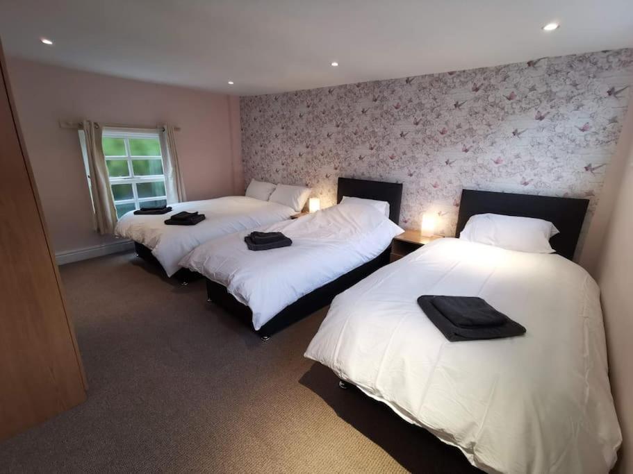 Spacious House Centre L1, Sleeps 16 Holiday home