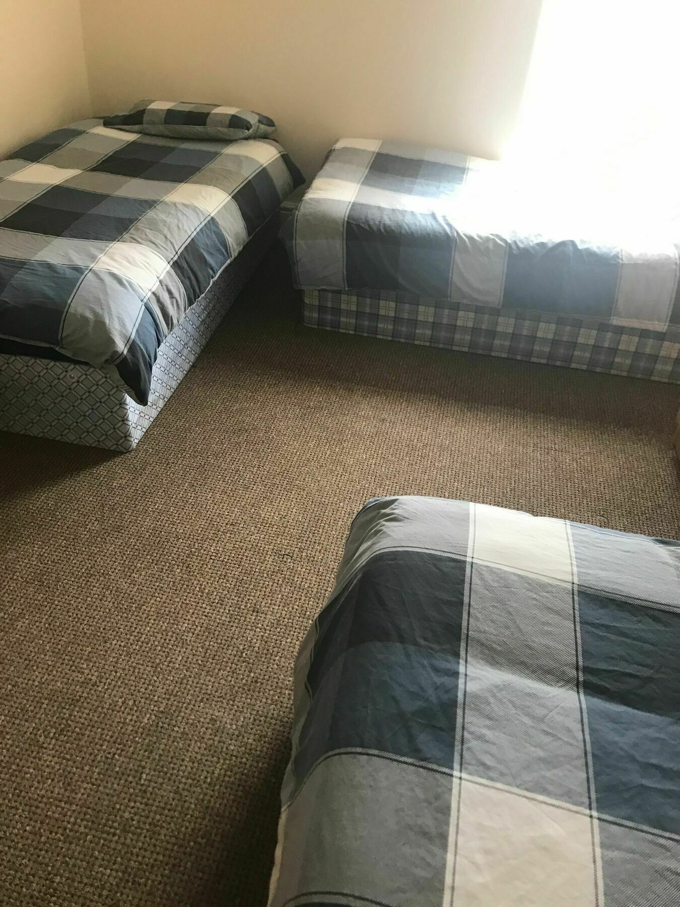 Shanks Guest house