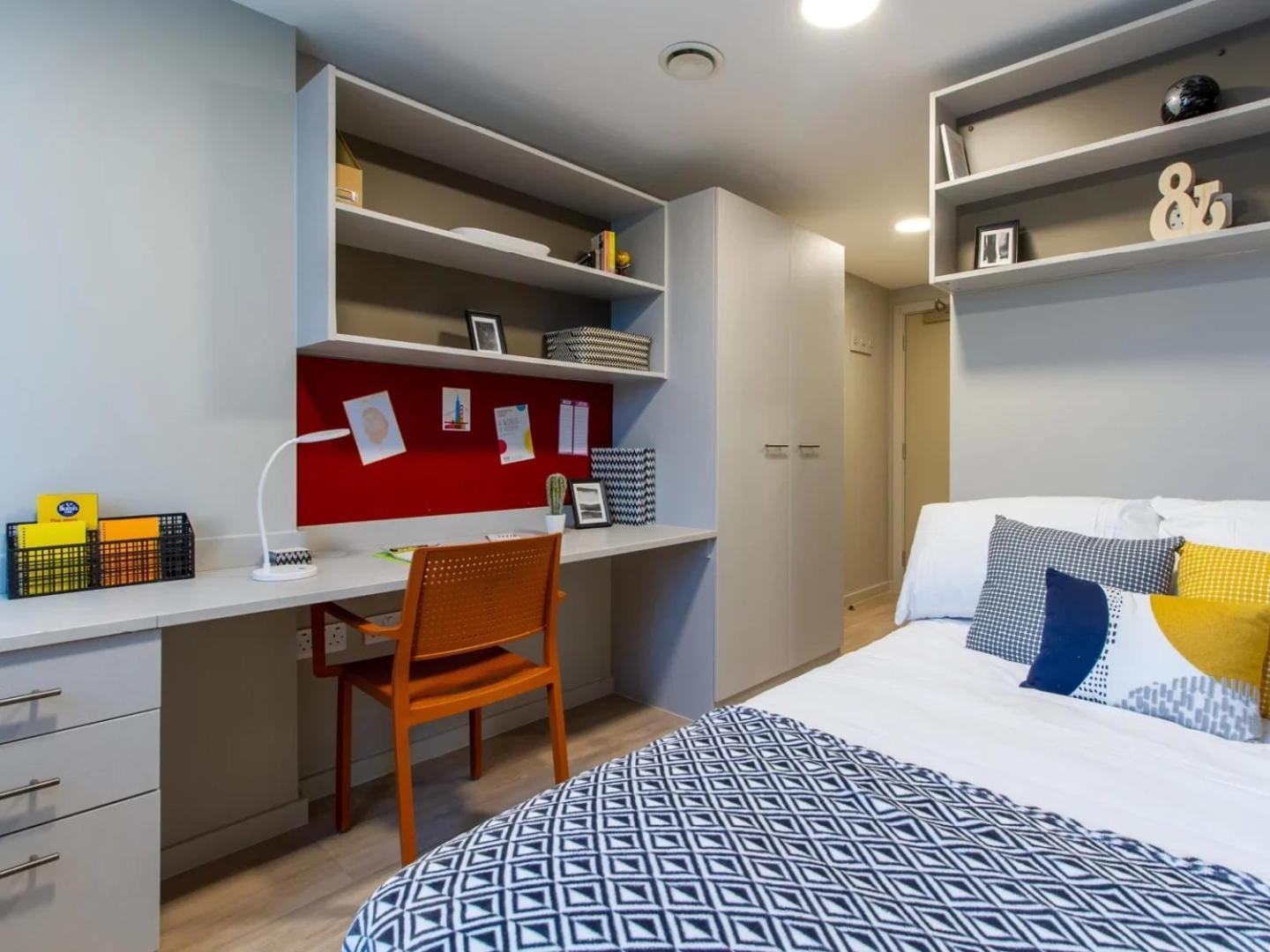 Student Only - Calico In Apartment Liverpool