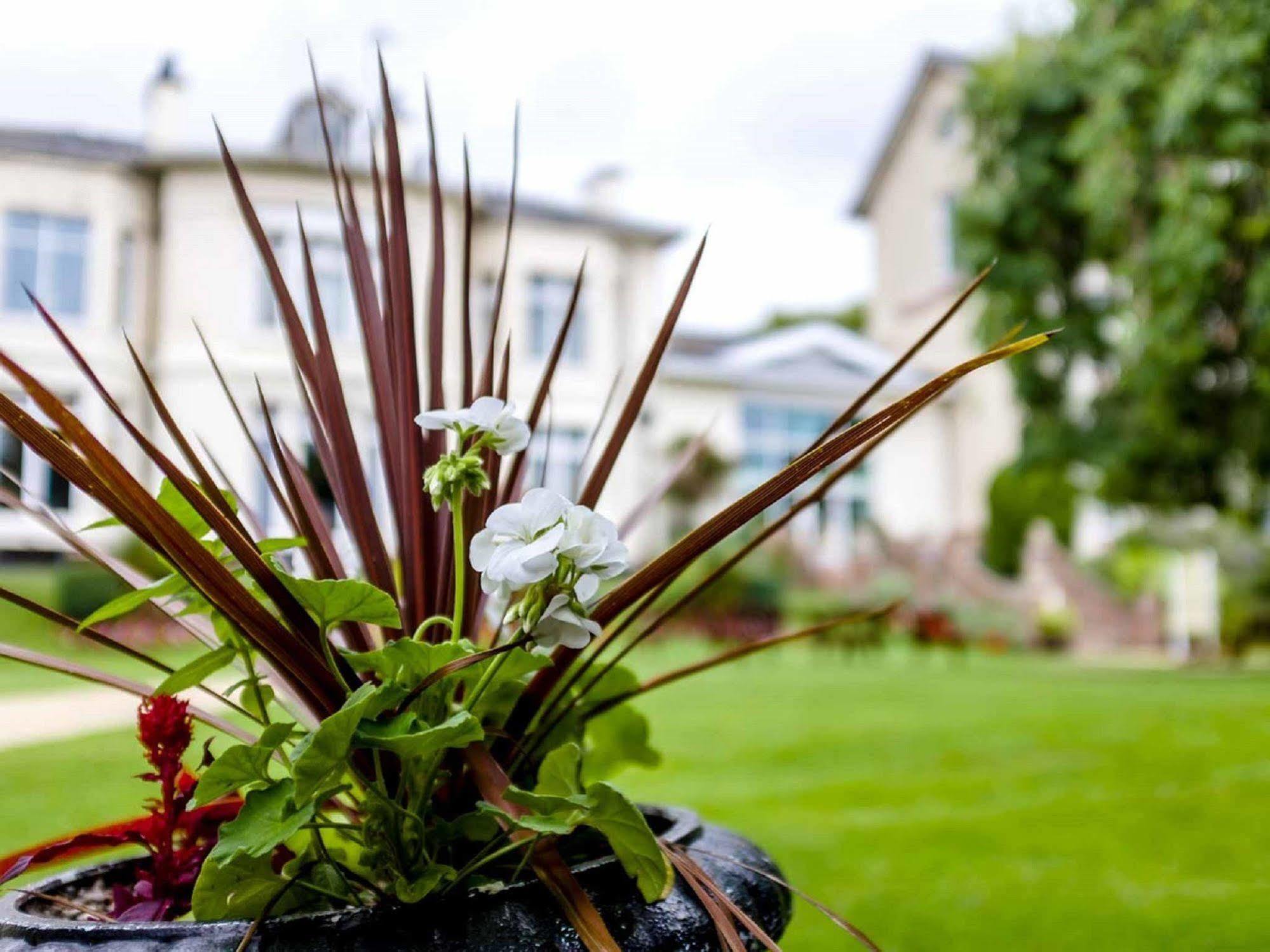 The Devonshire House Hotel 3*