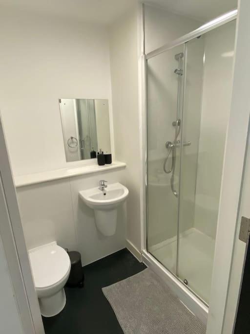 Rapid'S Studio Apartment Apartment Liverpool